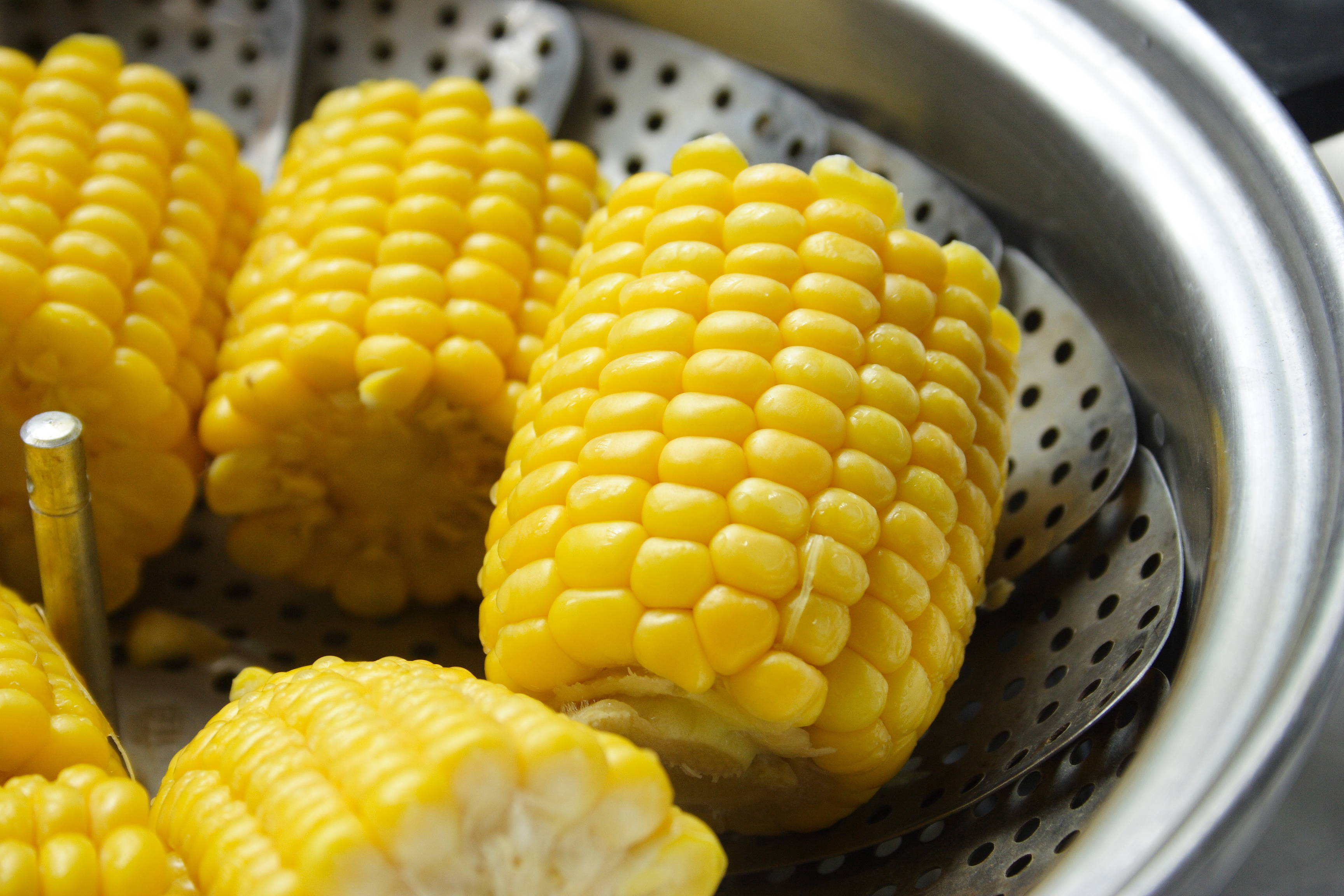 corn on cob.jpg